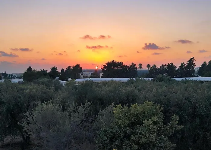 One Bedroom In Kato * Paphos